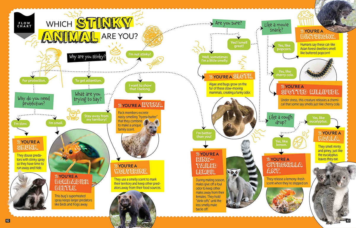 National Geographic Kids Personality Quizzes