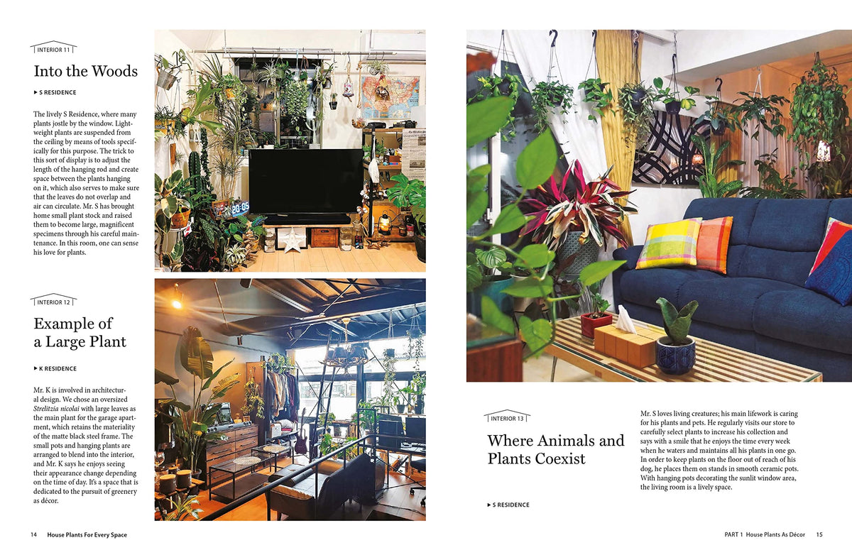 House Plants for Every Space: A Concise Guide to Selecting, Designing and Maintaining Plants in Any Indoor Space