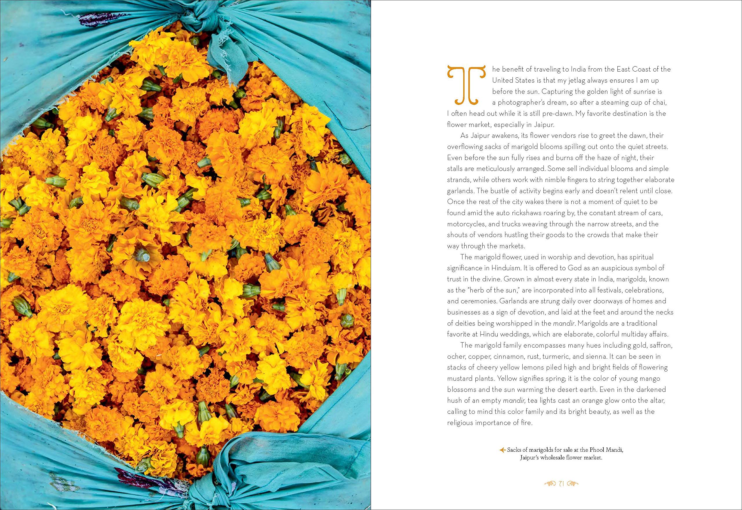 Patterns of India: A Journey Through Colors, Textiles, and the Vibrancy of Rajasthan
