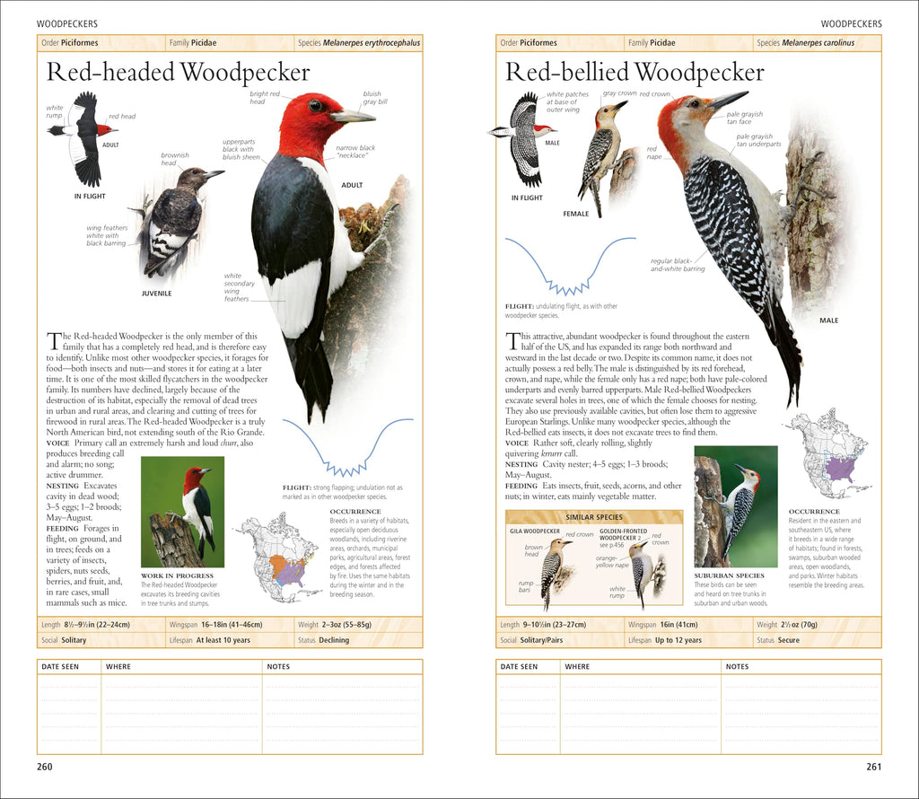 AMNH Birds of North America Eastern (DK North American Bird Guides)