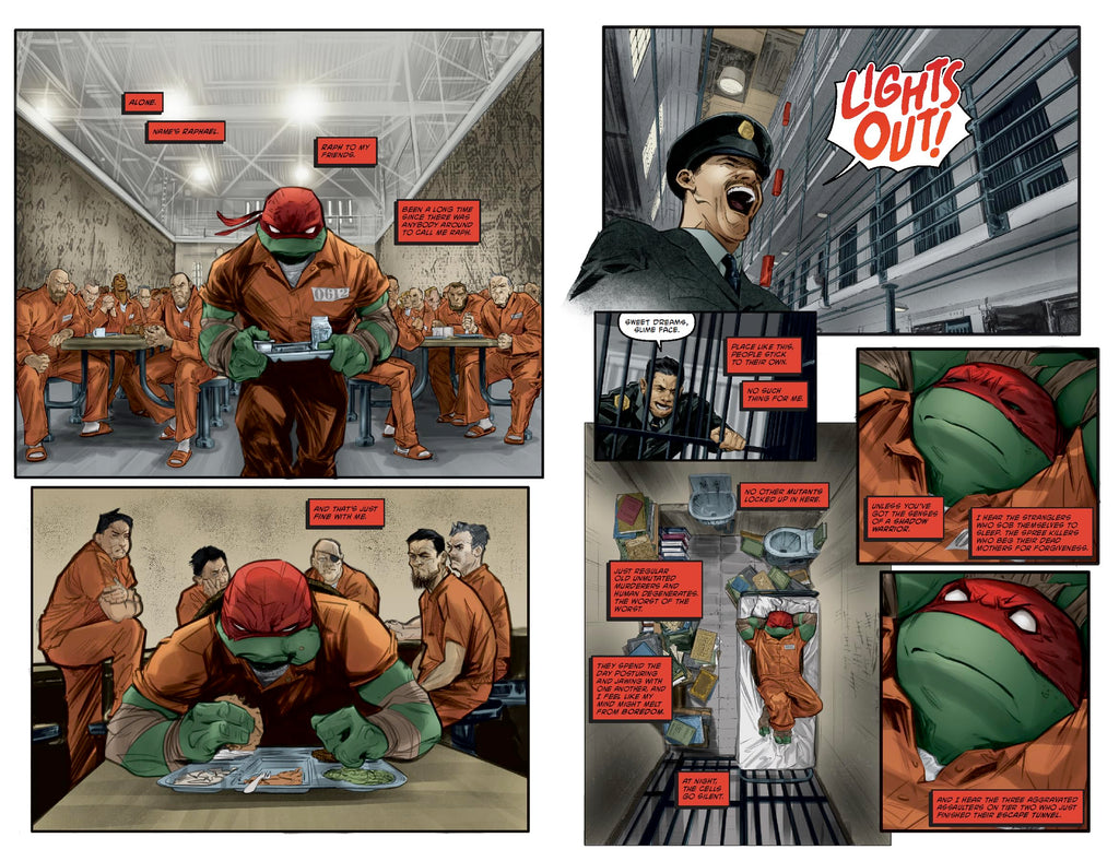 Teenage Mutant Ninja Turtles, Vol. 1: Return to New York Library Edition