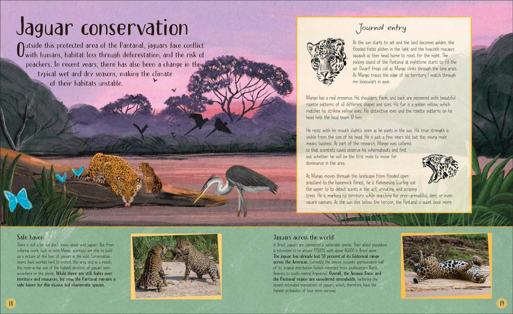 Life in the Wild: Observing the Mysterious Lives of 10 Real Animals