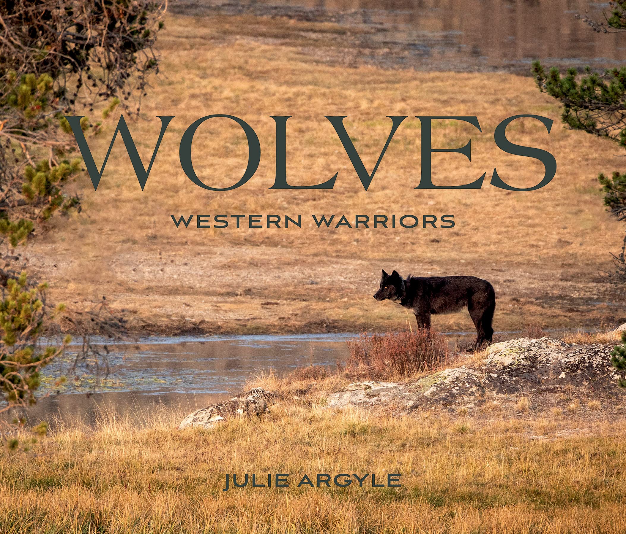 Wolves: Western Warriors (Wild in the West)