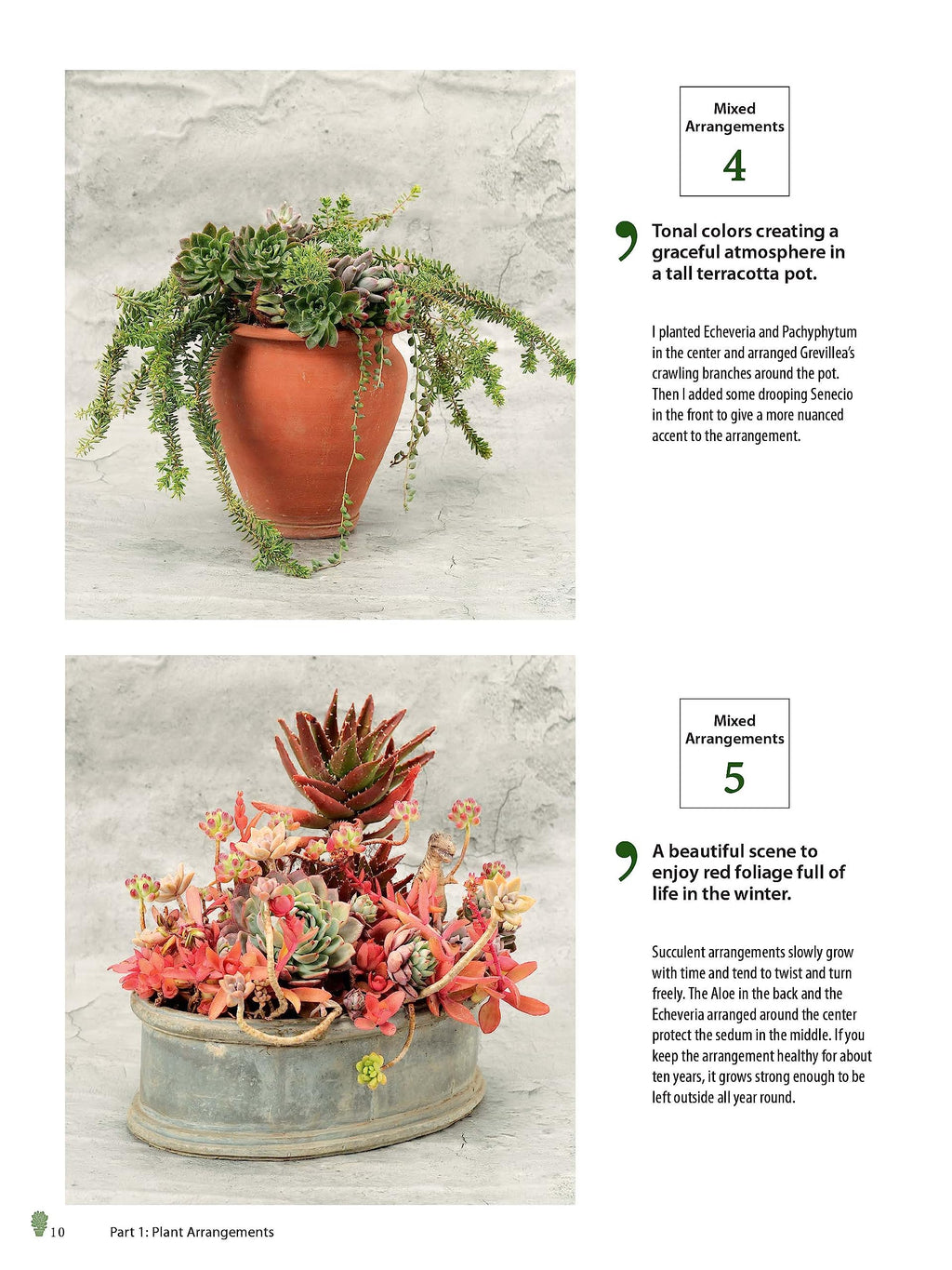 Growing Succulents: A Pictorial Guide (Over 1,500 photos and 700 plants)