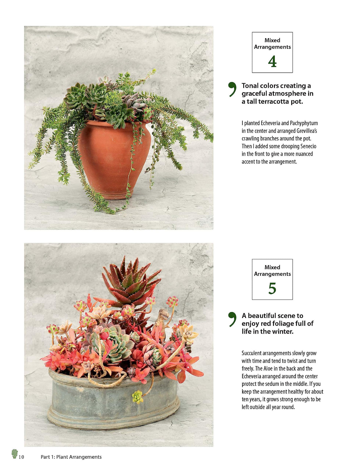 Growing Succulents: A Pictorial Guide (Over 1,500 photos and 700 plants)