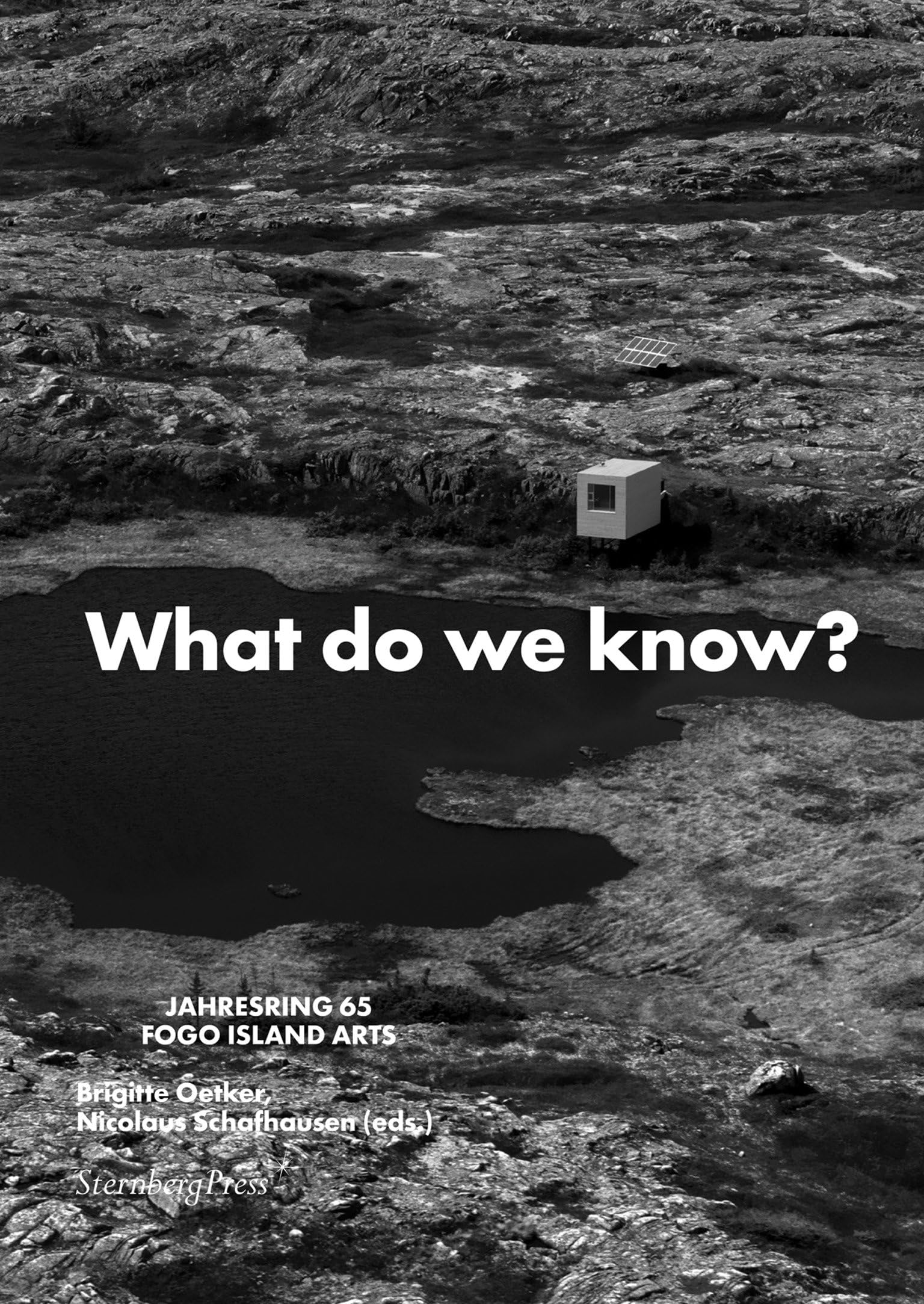 What Do We Know? What Do We Have? What Do We Miss? What Do We Love?: Jahresring 65 (Sternberg Press / Jahresring)
