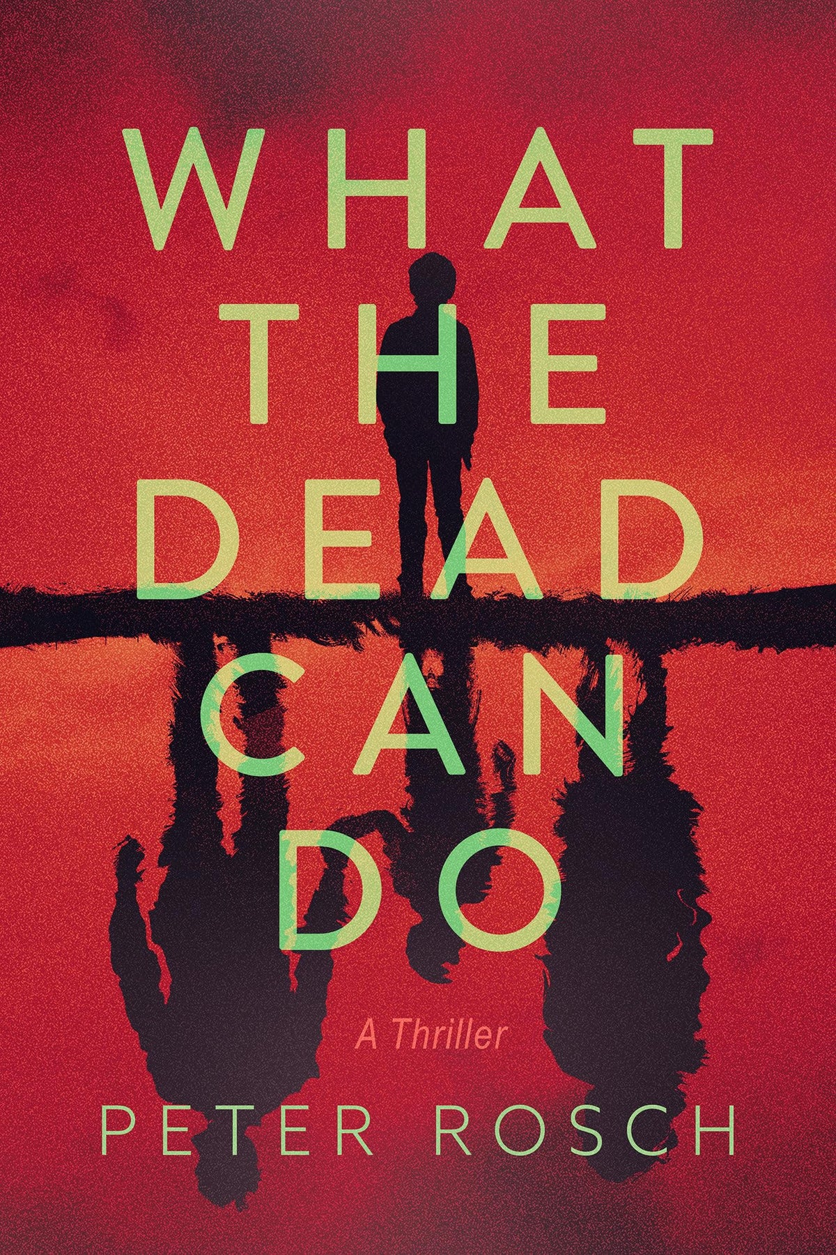 What the Dead Can Do: A Thriller