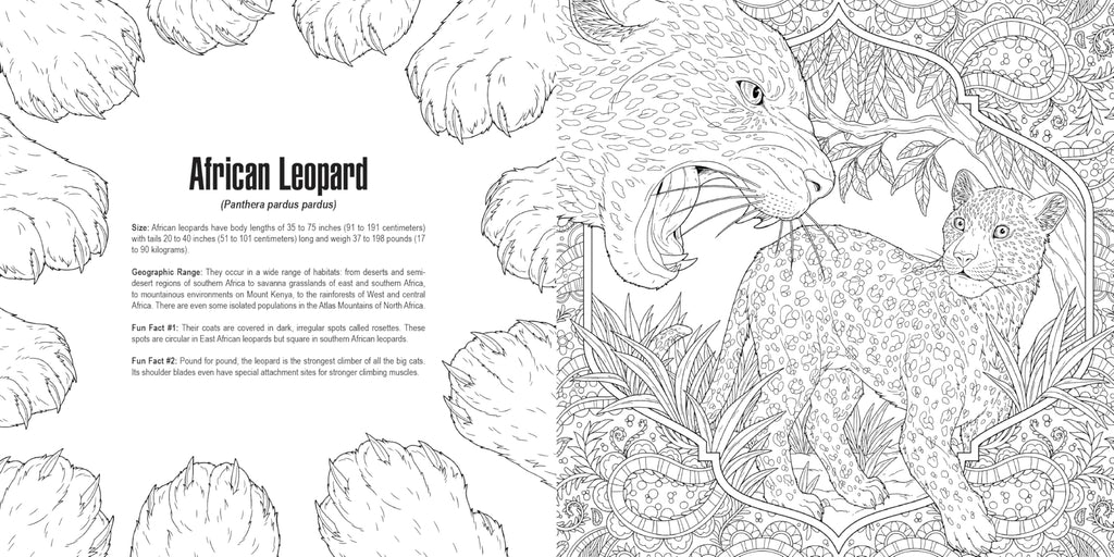 Cats: A Smithsonian Coloring Book