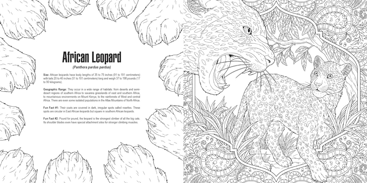 Cats: A Smithsonian Coloring Book