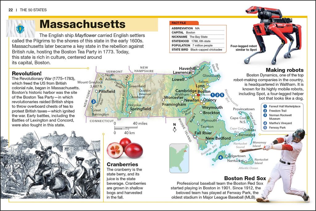 Pocket Genius The 50 States: Facts at Your Fingertips