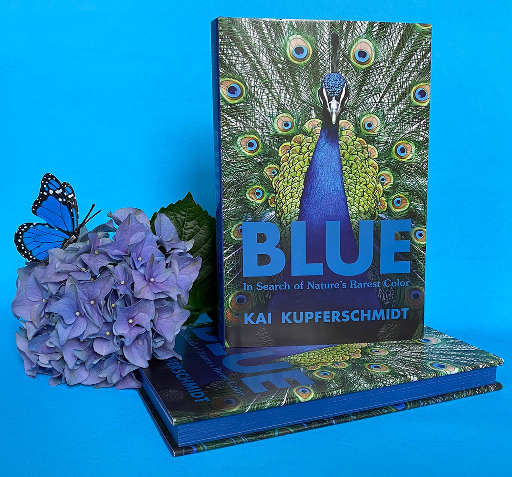 Blue: In Search of Nature’s Rarest Color