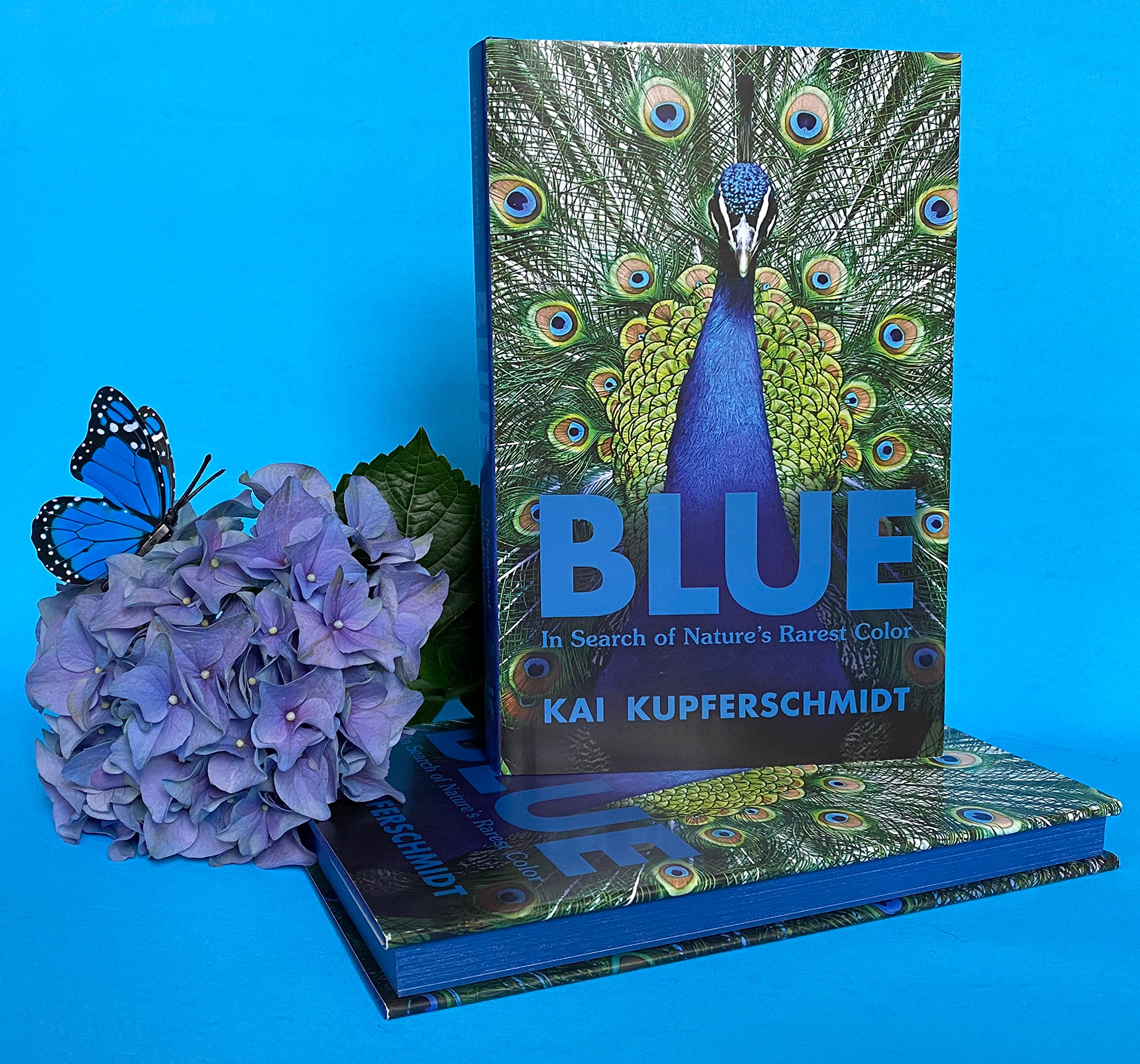 Blue: In Search of Nature’s Rarest Color