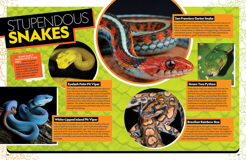 The Ultimate Book of Reptiles: Your guide to the secret lives of these scaly, slithery, and spectacular creatures! (National Geographic Kids Ultimate Books)