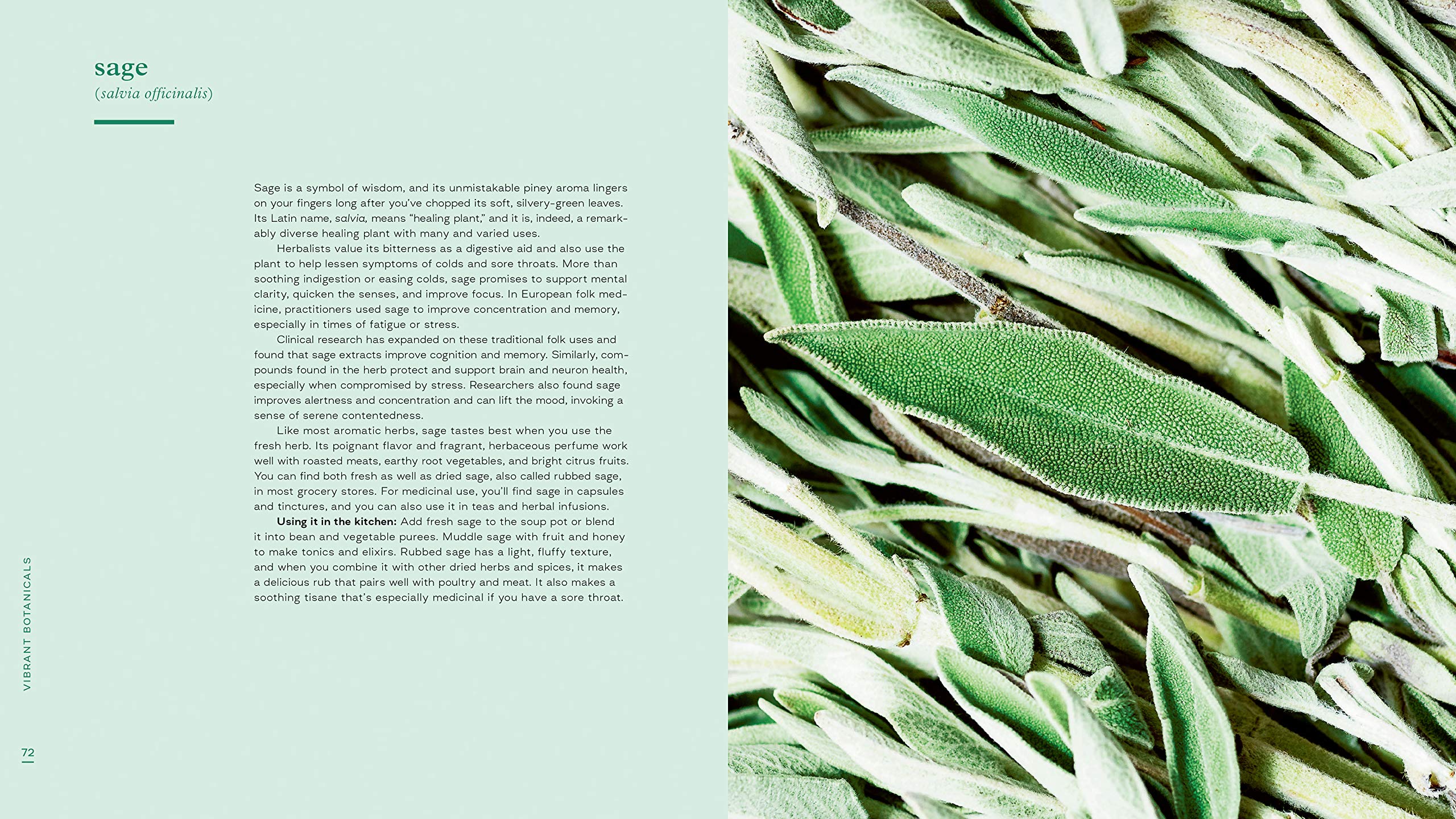 Vibrant Botanicals: Transformational Recipes Using Adaptogens & Other Healing Herbs [A Cookbook]