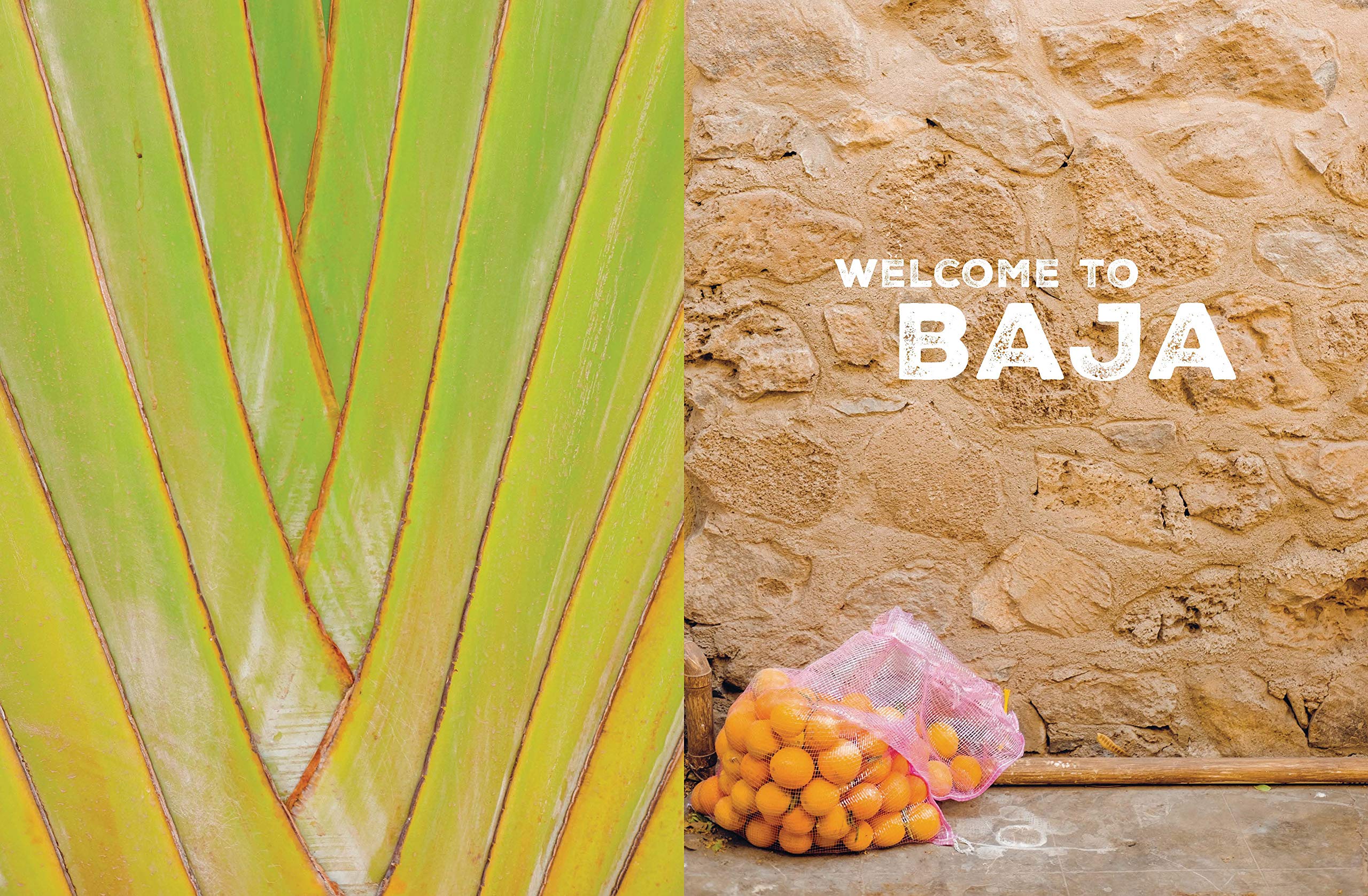 The Baja California Cookbook: Exploring the Good Life in Mexico