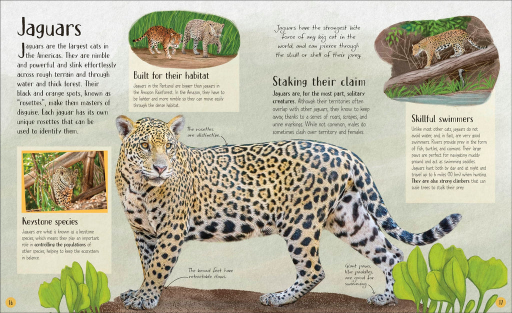Life in the Wild: Observing the Mysterious Lives of 10 Real Animals