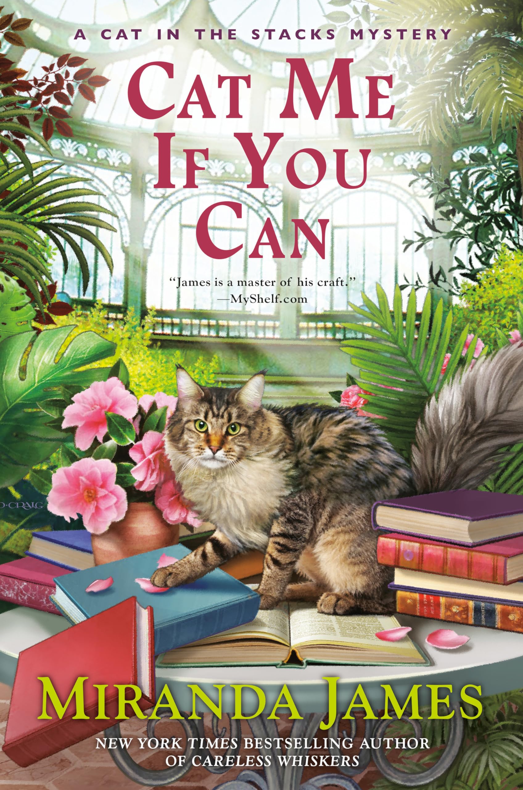 Cat Me If You Can (Cat in the Stacks Mystery)