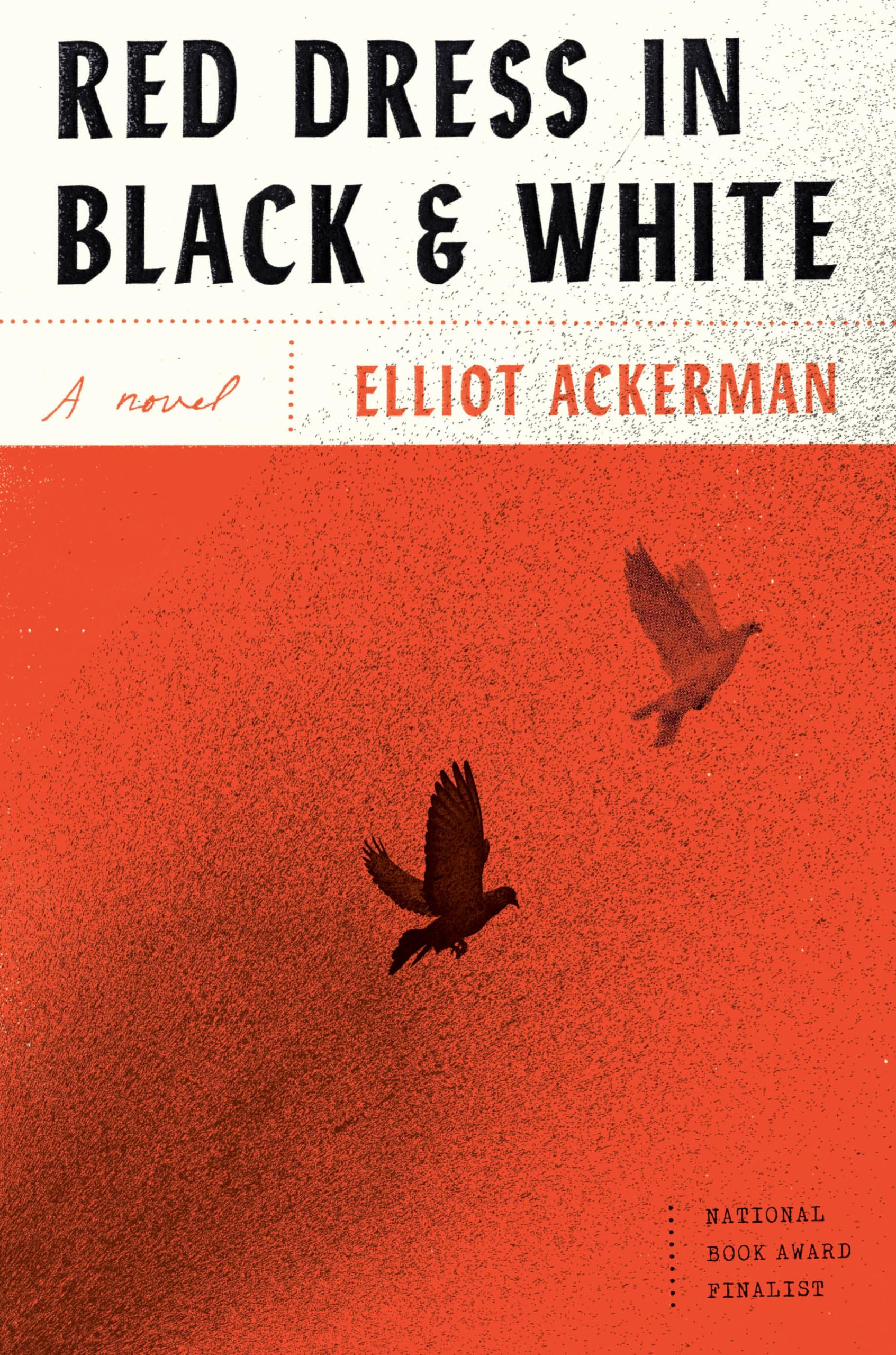 Red Dress in Black and White: A novel