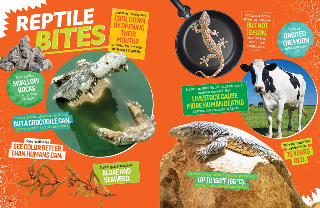 The Ultimate Book of Reptiles: Your guide to the secret lives of these scaly, slithery, and spectacular creatures! (National Geographic Kids Ultimate Books)