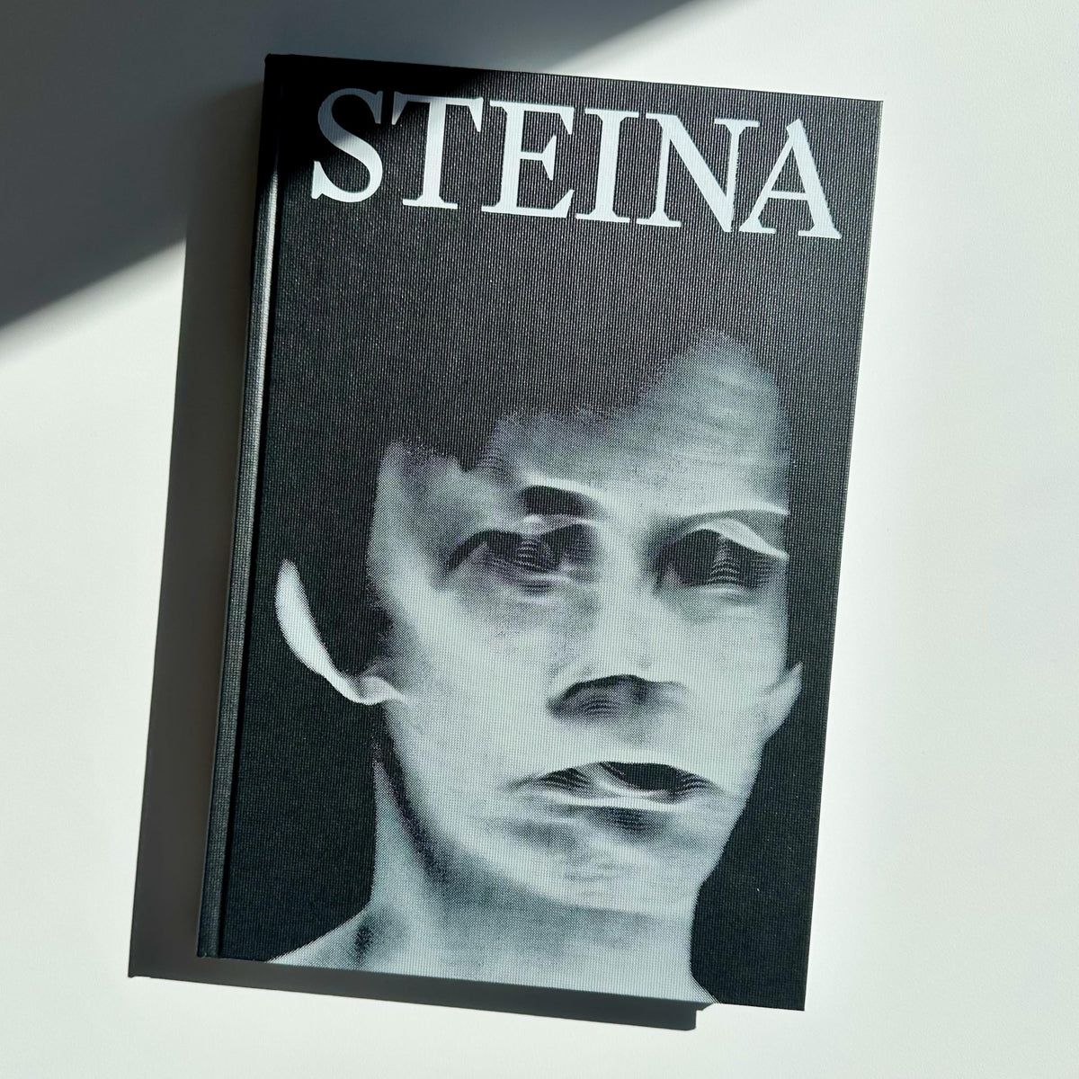 Steina