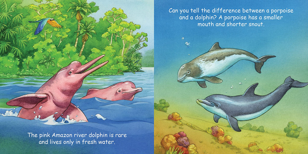 Good Night Dolphins (Good Night Our World)