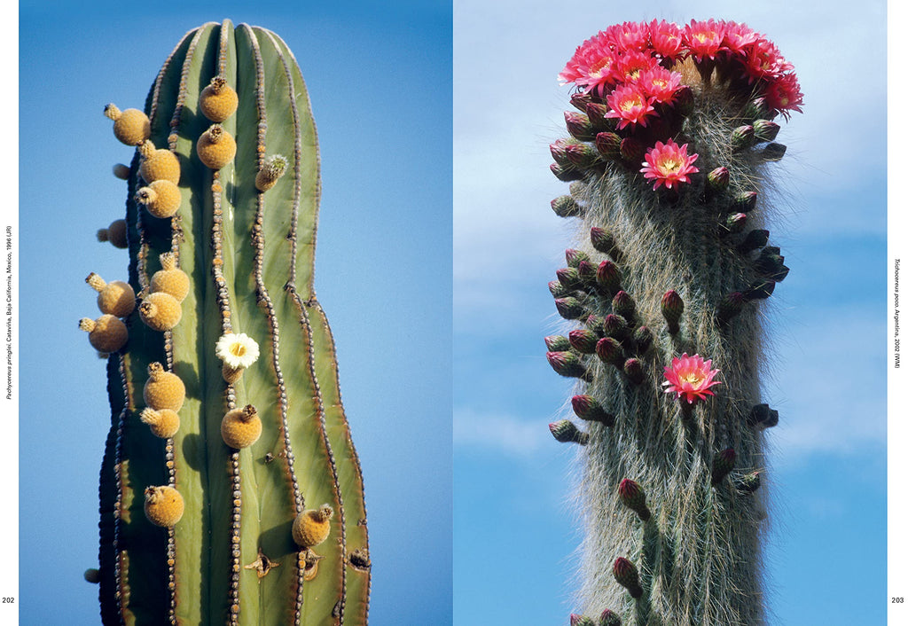 Xerophile, Revised Edition: Cactus Photographs from Expeditions of the Obsessed