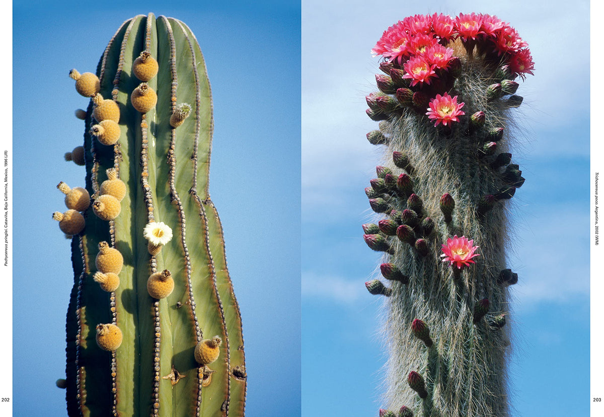 Xerophile, Revised Edition: Cactus Photographs from Expeditions of the Obsessed