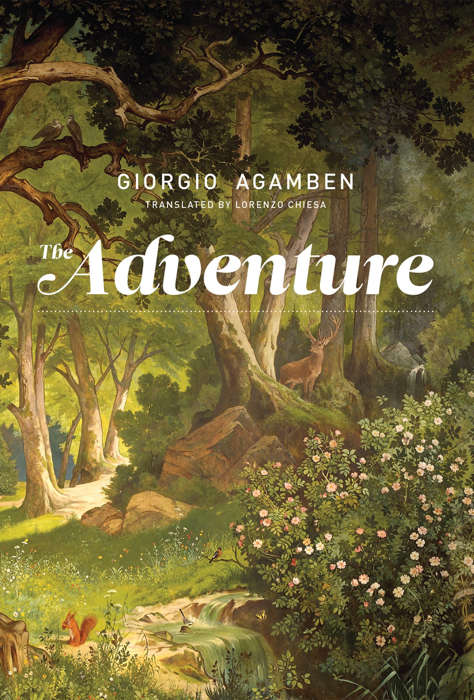 The Adventure (Mit Press)