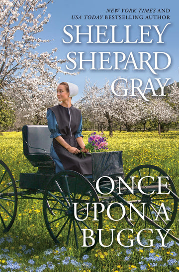 Once Upon a Buggy (The Amish of Apple Creek)