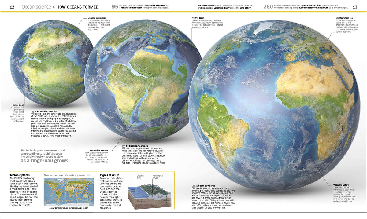 Knowledge Encyclopedia Ocean!: Our Watery World As You've Never Seen It Before (Knowledge Encyclopedias)