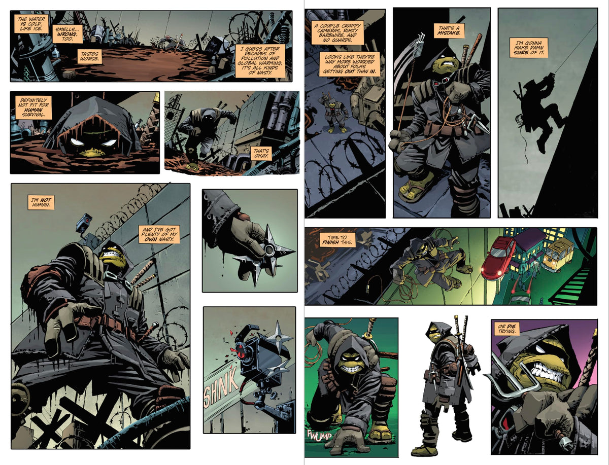 Teenage Mutant Ninja Turtles: The Last Ronin