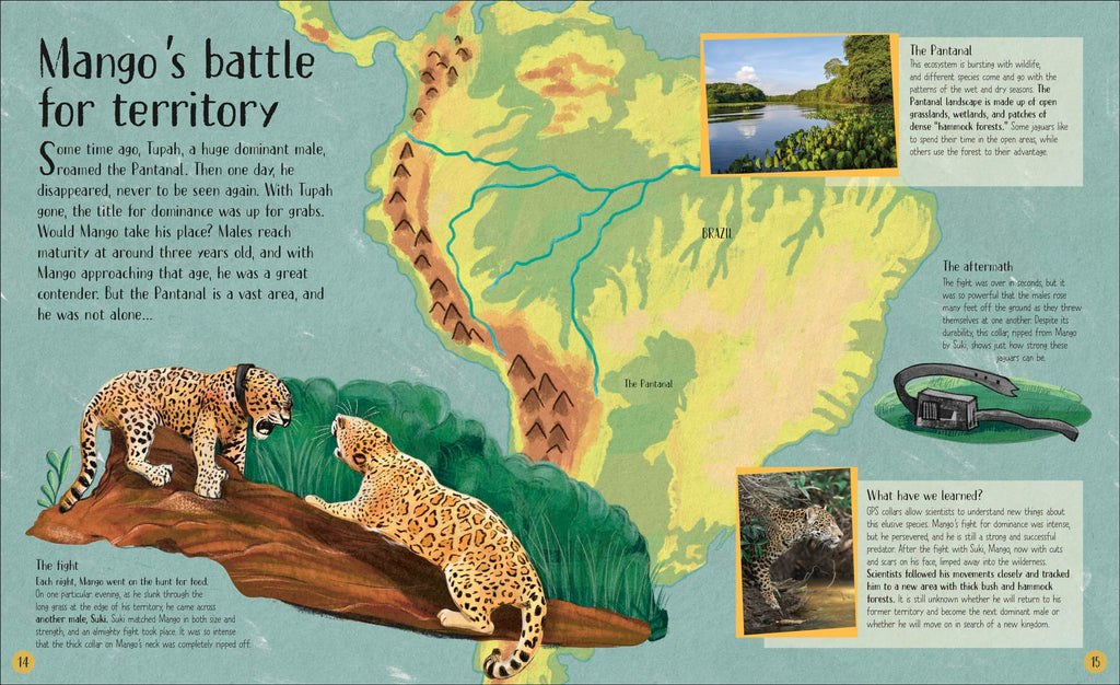 Life in the Wild: Observing the Mysterious Lives of 10 Real Animals