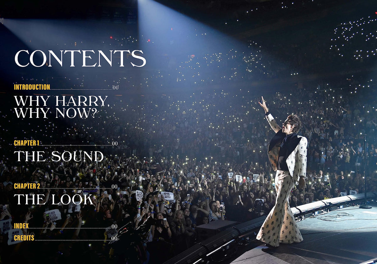 Harry Styles (Spotlight on a Legend)