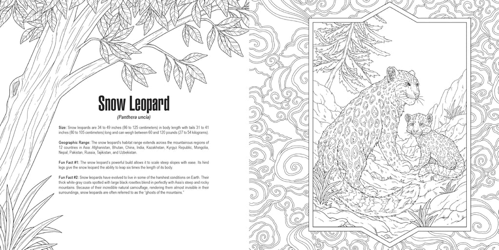 Cats: A Smithsonian Coloring Book
