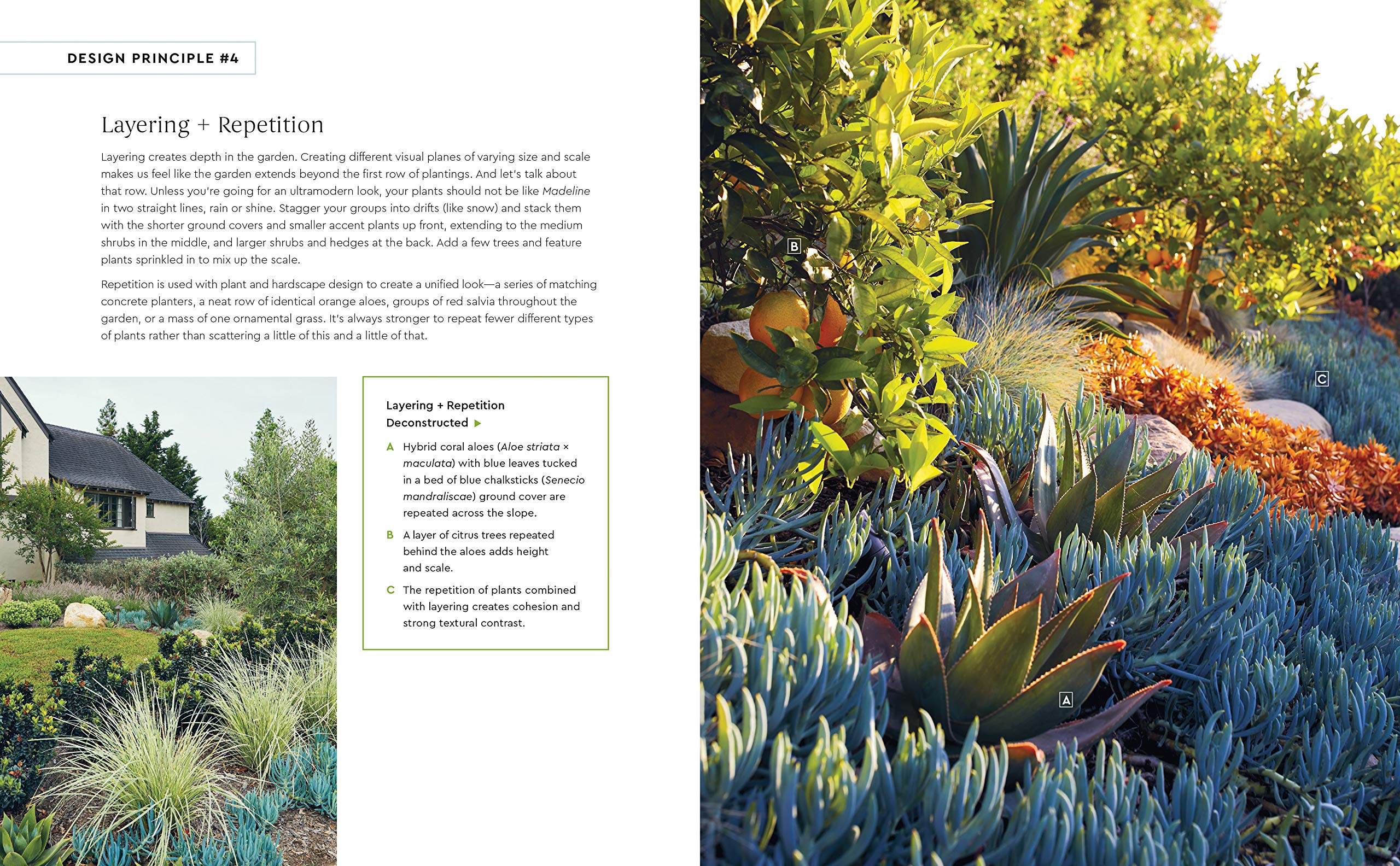 Small Garden Style: A Design Guide for Outdoor Rooms and Containers