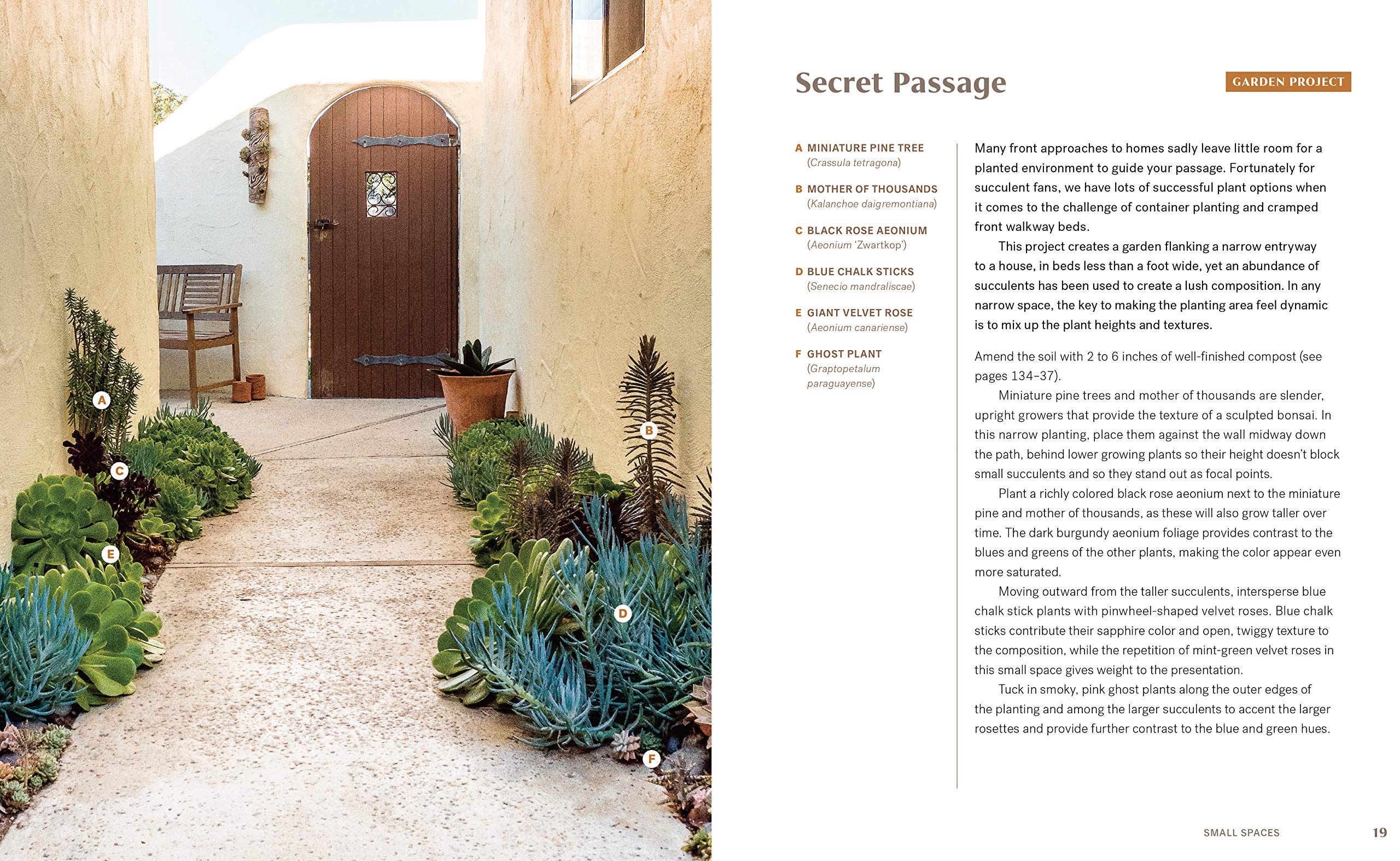 Striking Succulent Gardens: Plants and Plans for Designing Your Low-Maintenance Landscape [A Gardening Book]