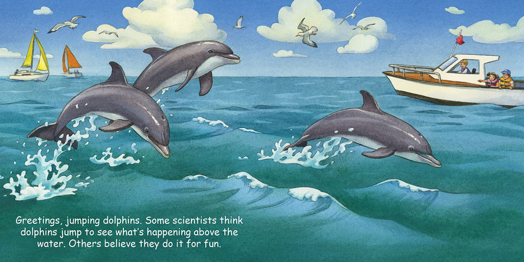 Good Night Dolphins (Good Night Our World)