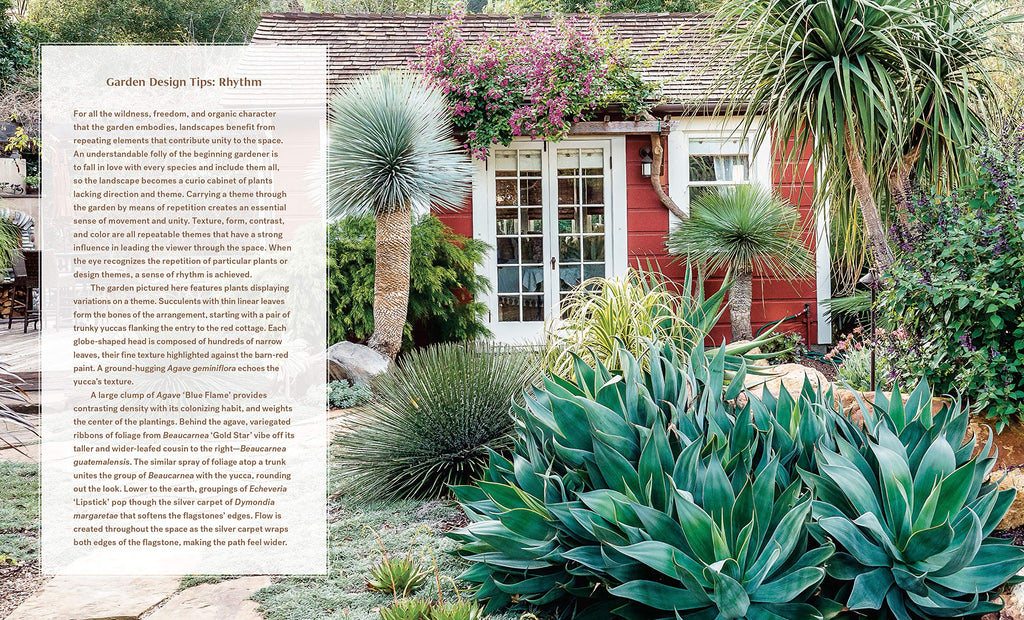 Striking Succulent Gardens: Plants and Plans for Designing Your Low-Maintenance Landscape [A Gardening Book]