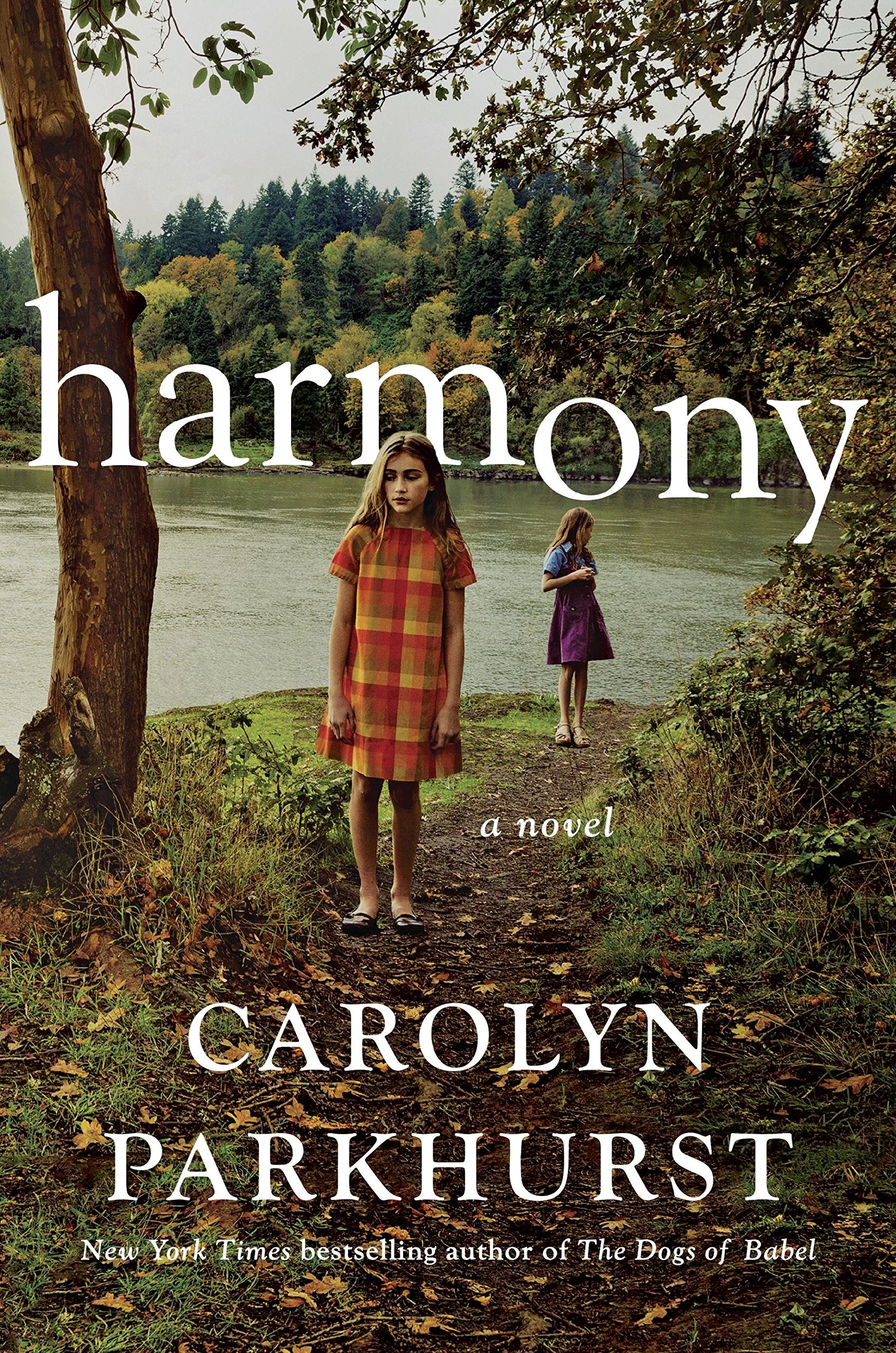 Harmony: A Novel