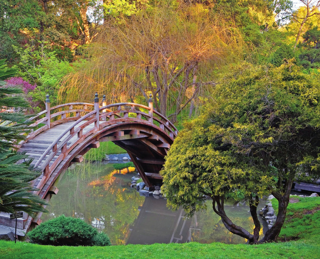 Quiet Beauty: The Japanese Gardens of North America